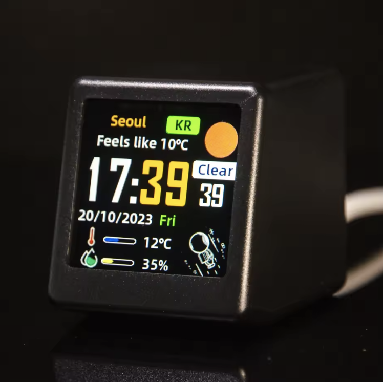 Mini Forecast 1.0 Black